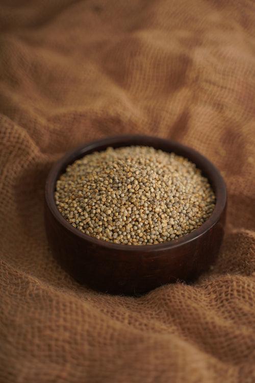 Bajra / Pearl Millet