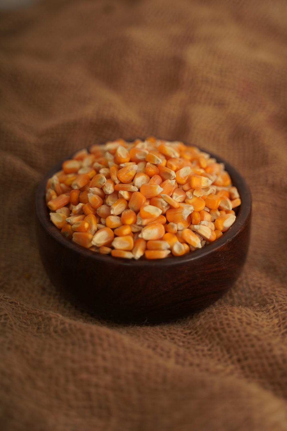 Makkai / Corn